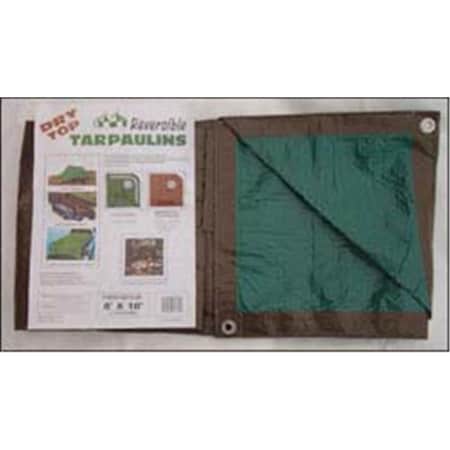 Patioplus 10ft. X 20ft. Brown & Green Dry Top Reversible Polyethylene Tarp  1102 PA3540543